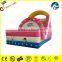 Top Class Quality Amusement Park Exciting Kids Pink Inflatable Slide