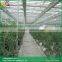 Sawtooth type greenhouse parts cheap glass greenhouses