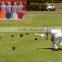Lawn bowl chalk spray washable marker