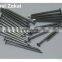 polished & galvanized common nail/wire nails to Doha