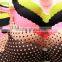 Hot selling 2015 sexy bra and panty new design under bar set