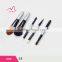 2017 Popular Hot Sale 5 Pcs Laser Private Logo Cosmetics Makeup Brush