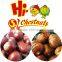 Ready to Eat Roasted Ringent Chestnuts Snacks