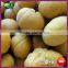 2016 New Sweet Organic Frozen Natural Chestnuts Food