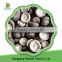 High Quality Chinese Iqf Shiitake Quarter For Cook