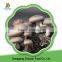 China High Quality Iqf Frozen Shiitake Mushroom