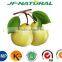 100% natural Pear Puree Powder ISO, GMP, HACCP, KOSHER, HALAL certificated.