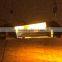 gavita style double end light/Open style indoor light