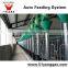 Pig House labor saving automatic augur feed system