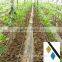 Fengba Braind pe drip irrigation belt made in China