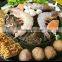 Thailand Non- stick mookata pot
