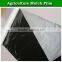 Silver-black plastic LDPE perforated agriculture mulch film