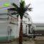 GNW APM023 Wholesale Cheapest Indoor And Outdoor Fack Decoration Palm Tree