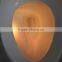 automatic motion activated sensor toilet seat cover LED magic lightbowl