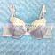 New design FASize OEM Underwear Women Push Up Bra Brief Photo