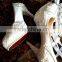 Competitive prices women silver wedding dress shoes latest high heels WS044