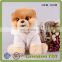 Promotion Brown White Dog Plush Kids Toy