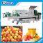 Stainless Steel Screw Press Juicer