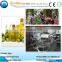 fresh coconut / peanut / soybean / sesame / palm oil / palm kernel oil extraction machine made in china