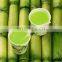 new design sugar cane juicer machine price