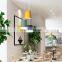 Contemporary Design Minimalism Colorful Aluminum Modern Pendant Lighting LED Chandelier