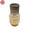 Dual Plate Duckbill Flap Vertical Dn100 Pn16 Natural Gas 8 Inch Flapper Type Swing Check Valve