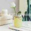 New Design Wholesale Wedding Home Decorative Creative Normal Size Round macaron Yellow Glass Pot Flower Vase