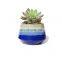 Wholesale Home Decorative Succulent Cactus Pots Small Flower Pot Ceramic Planter For Indoor Plants