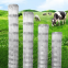 field fence cattle nets grassland fence galvanized steel wire material