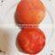 5T per hour industrial automatic steam potato carrot tomato peeling machine