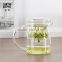 2015 SAMADOYO Hot Sale 350ML Hand-blown Best Glass Tea Pot