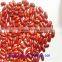 British bark red kidney beans(heilongjiang)