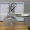 New products 4w 8w 12w garden solar led light solar light garden