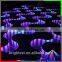 Brightness Decoration Lighting Of Festival Carnival Magic Color Led Digital Strip Light RGB SMD 5050 CE Rohs