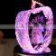 2015 hot sale apple shape crystal gift crystal apple