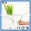 Newest design silicone pen, high quality plastic grass ball pen,silicone leaf advertising ball pen