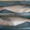 Frozen White Pangasius Fish Fillet
