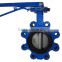 Lug Type Flanged Butterfly Valve with hand lever