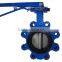 Lug Type Flanged Butterfly Valve with hand lever