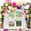 Decor Paper Flower For Garden Supplies tissue pom poms china birthday party items