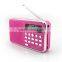 private model am fm radio mini speaker for mp3