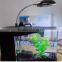 Mini Desktop USB Aquarium / mini fish tank / led Desktop Aquarium