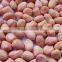2015 new crop best quality hot sale wholesale blanched peanuts specification