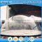 Large clear acrylic dome