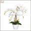 factory customized new design artificial plant white butterfly orchid flower with pot