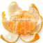 fresh orange for sale valencia orange price