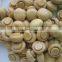 Delicious canning wild mushrooms