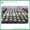 Echinocactus grusonii plants Ungrated Cactus Ball