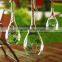 Clear Glass Vase Water Drop Shape Glass Landscape Bottle 3 Sizes