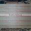 Cheap bintangor face/back commercial plywood sheet for furniture